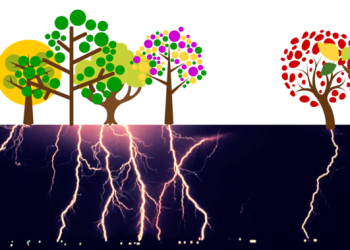 Bitcoin Start-ups Will Keep Growing, No Matter What’s Thrown at Them, entrepreneur