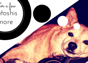 Dogecoin Price Weekly Analysis Break Near for a few satoshis more