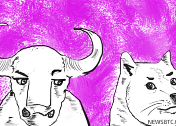 dogecoin price analysis. Dogecoin illustration. newsbtc dogecoin news