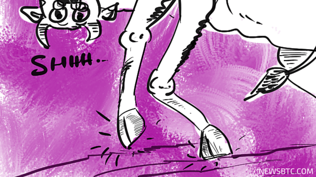 bitcoin price. bulls tip toe cartoon. newsbtc bitcoin price news