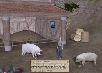 pigbarn