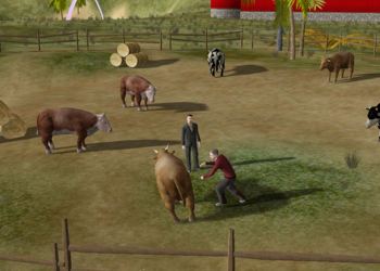 Cow Tipping