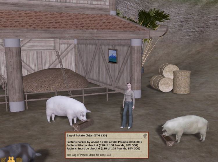 pigsfarm