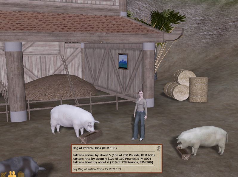 pigsfarm
