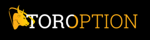 A new binary options broker called TorOption