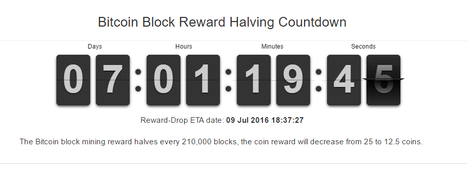bitcoin halving new