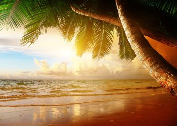 Caricoin Caribbean Bitcoin