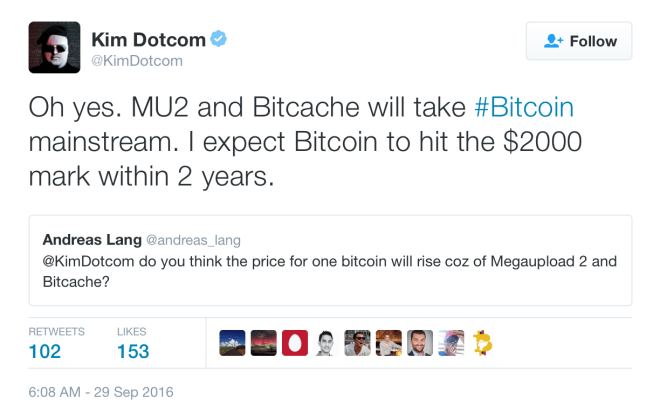 kim dotcom