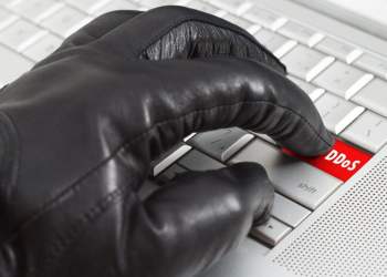 DynDNS PayPal Bitcoin