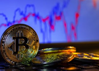 Kathryn Haun Bitcoin