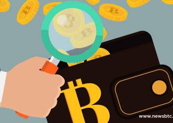 bitcoin, india, government,