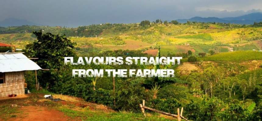 FlavorsPlace Bitcoin PR Buzz Press Release