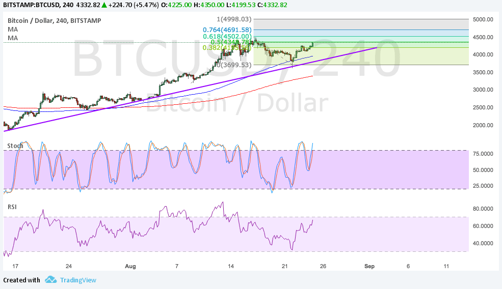 Bitcoin Price Technical Analysis for 08/25/2024