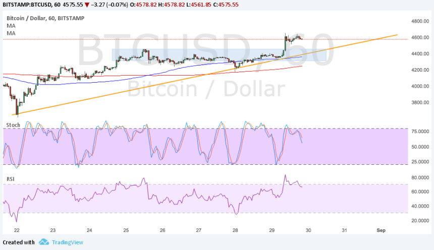 bitcoin