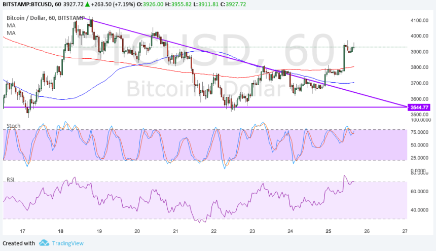 bitcoin