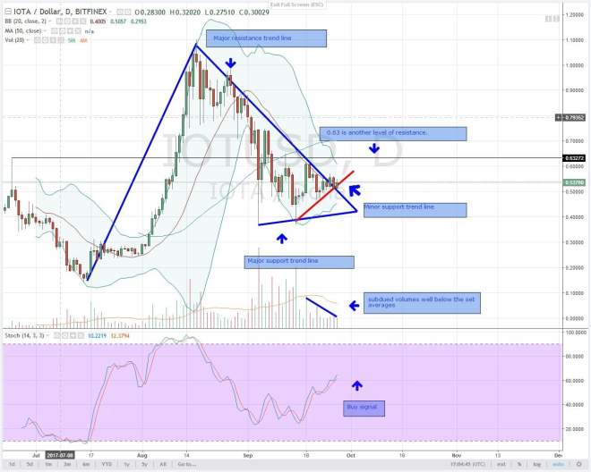 analysis, altcoin, IoTA