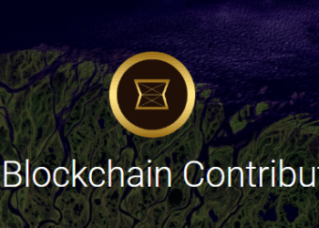 TEAM ICO Launches: Blockchain Contribution Graph