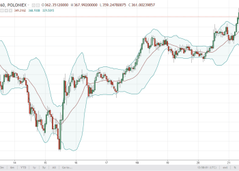 dashusd