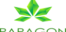 paragon logo big