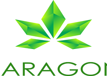 paragon logo big
