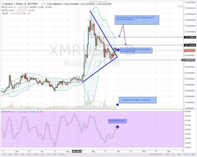 Analysis XMR
