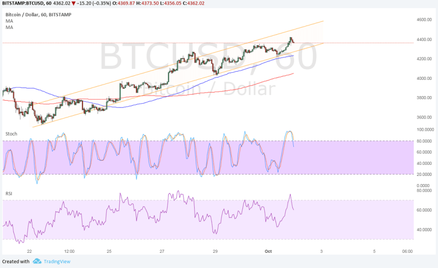 bitcoin