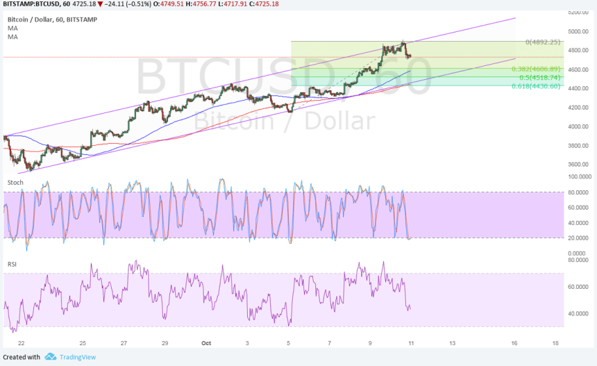 bitcoin