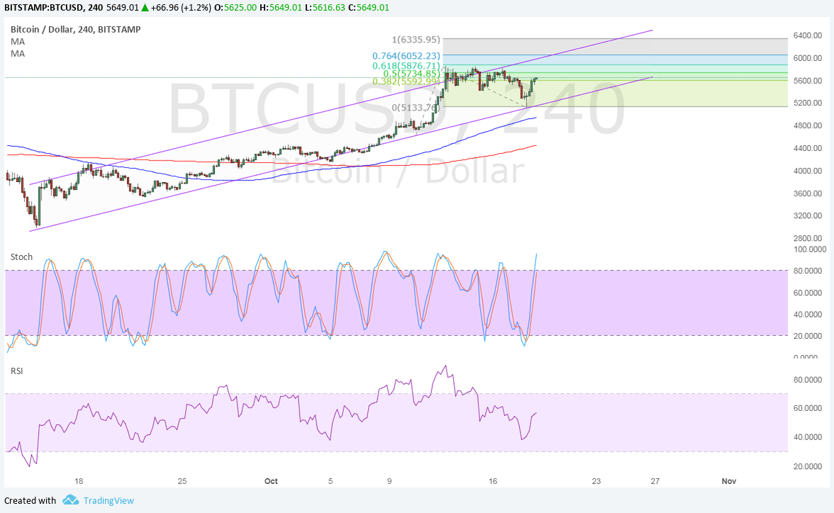 Bitcoin Price Technical Analysis for 10/19/2025