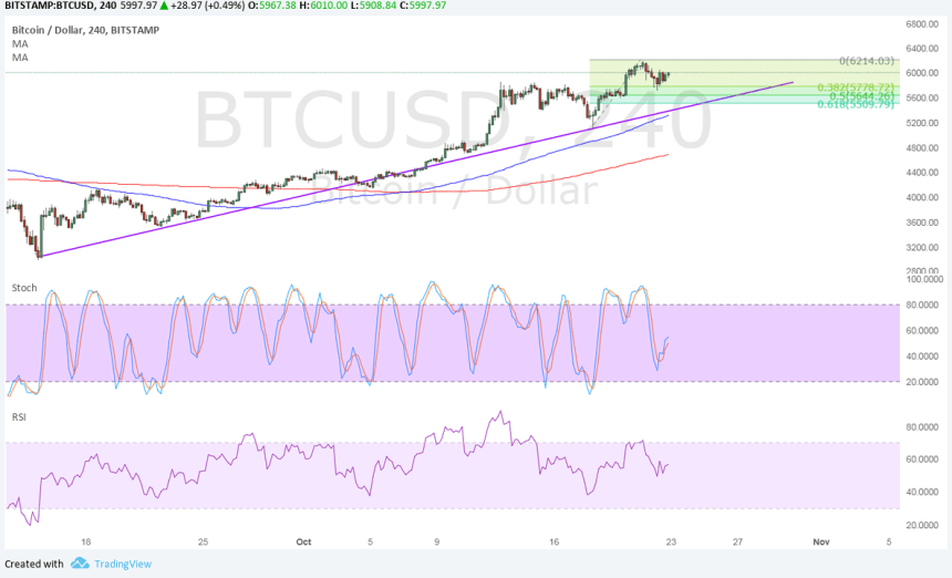 bitcoin