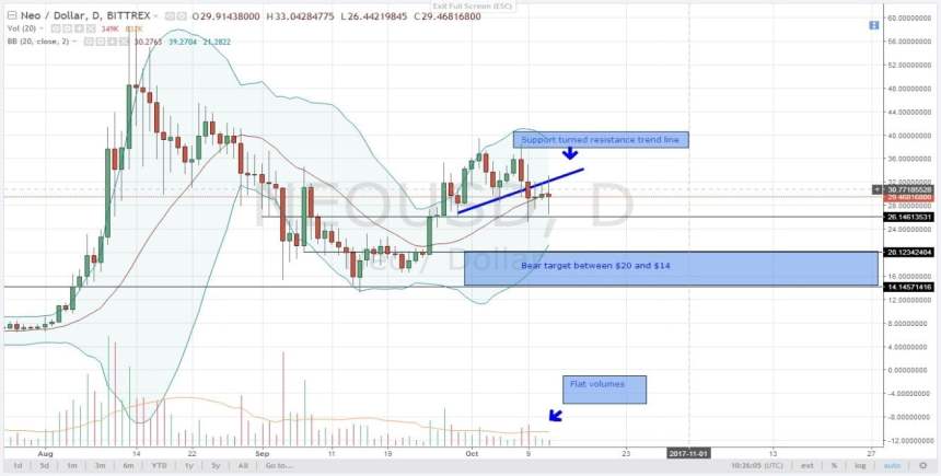 NEO Oct
