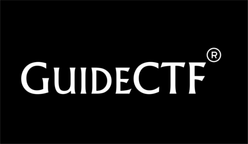 Guide CTF, interview, cryptocurrency, ICO