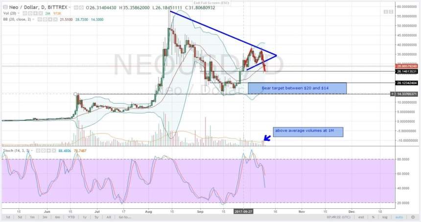 neo oct