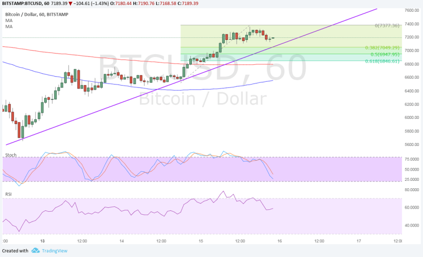 bitcoin