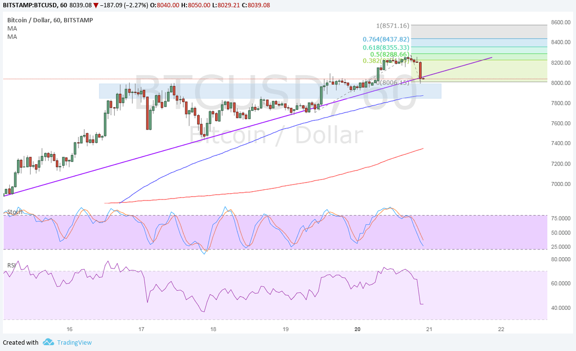 Bitcoin Price Technical Analysis for 11/21/2023