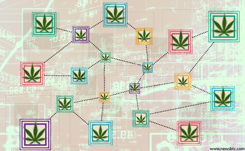 IBM Plans to Utilize Blockchain for Marijuana Distribution