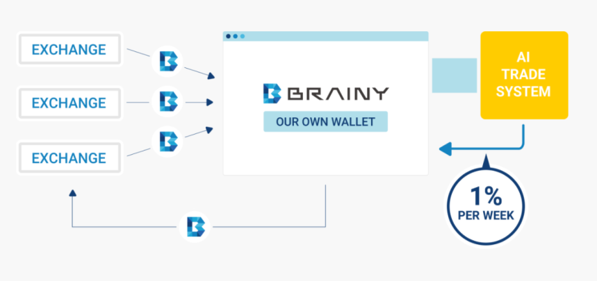 brainy