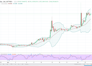 dashusd