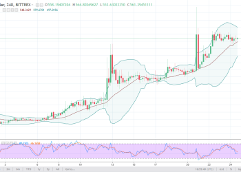 dashusd