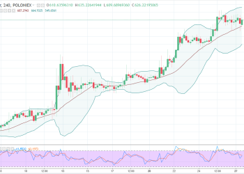 dashusd