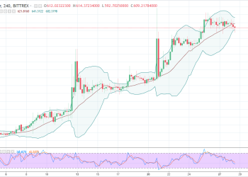 dashusd