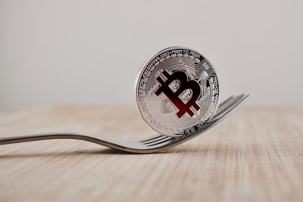 NewsBTC Bitcoin Cash Growth