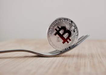 NewsBTC Bitcoin Cash Growth