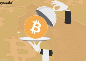 Bitcoin Cash Liquidation