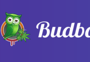 Budbo, cannabis