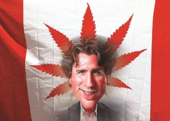 Cannabis