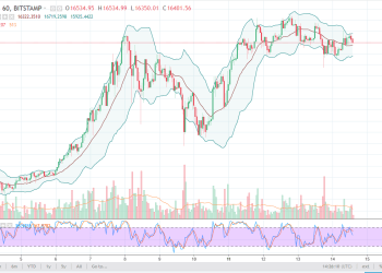 btcusd