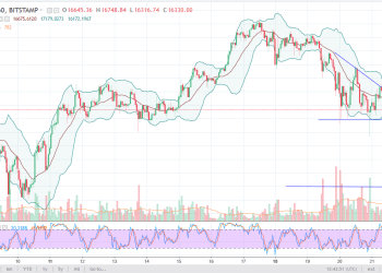 btcusd