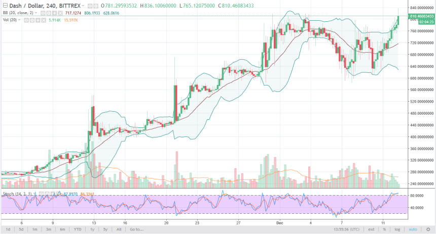 dashusd