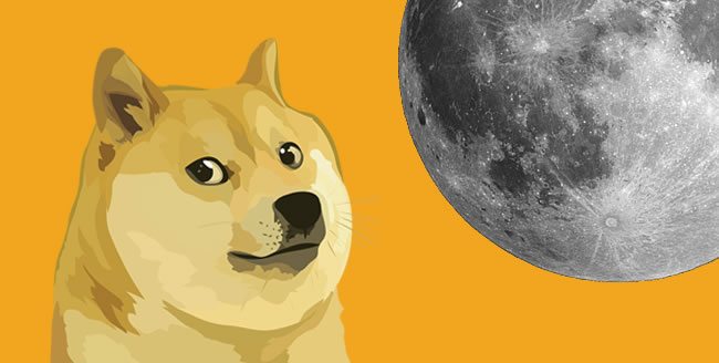 dogecoin bitcoin hold