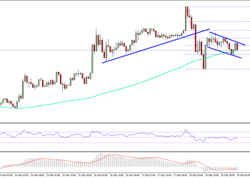 Bitcoin Cash Price Technical Analysis BCH USD
